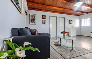 Televisión, chimenea y reproductor de DVD 
