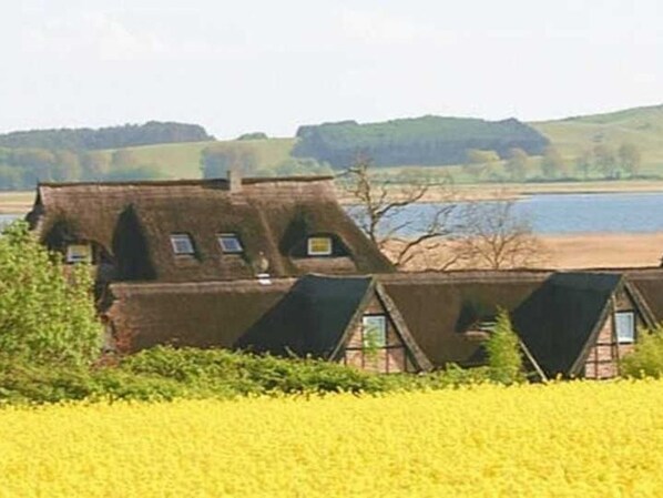 Uma casa tradicional com telhado de colmo e vários beirais, localizada em zona rural, com um campo de flores amarelas em primeiro plano e um corpo d'água ao fundo.