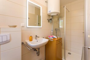 Shower, hair dryer, soap, toilet paper