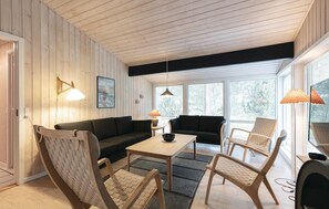 Smart-TV, Kamin