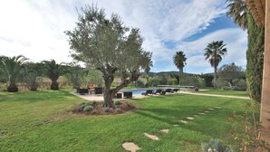 Un jardin bien entretenu, doté d’une piscine, d’un espace salon extérieur et d’une variété d’arbres et d’arbustes.