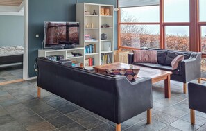 TV, fireplace, DVD player