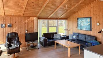 Tv, pejs, dvd-afspiller