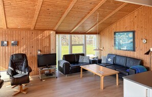 Televisión, chimenea y reproductor de DVD 