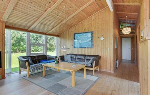 Télévision, cheminée, lecteur de DVD