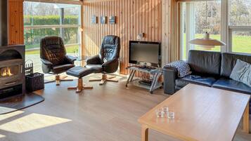 Tv, pejs, dvd-afspiller