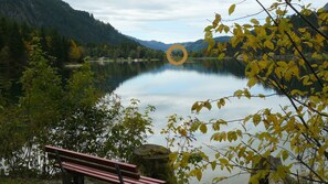 A calm lake with a bench in the foreground, surrounded by trees and mountains in the background.