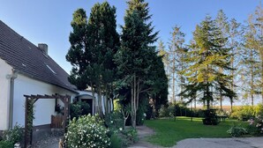 Un jardin agrémenté d’un chemin pavé, d’une pergola et d’une vari été d’arbres et d’arbustes.