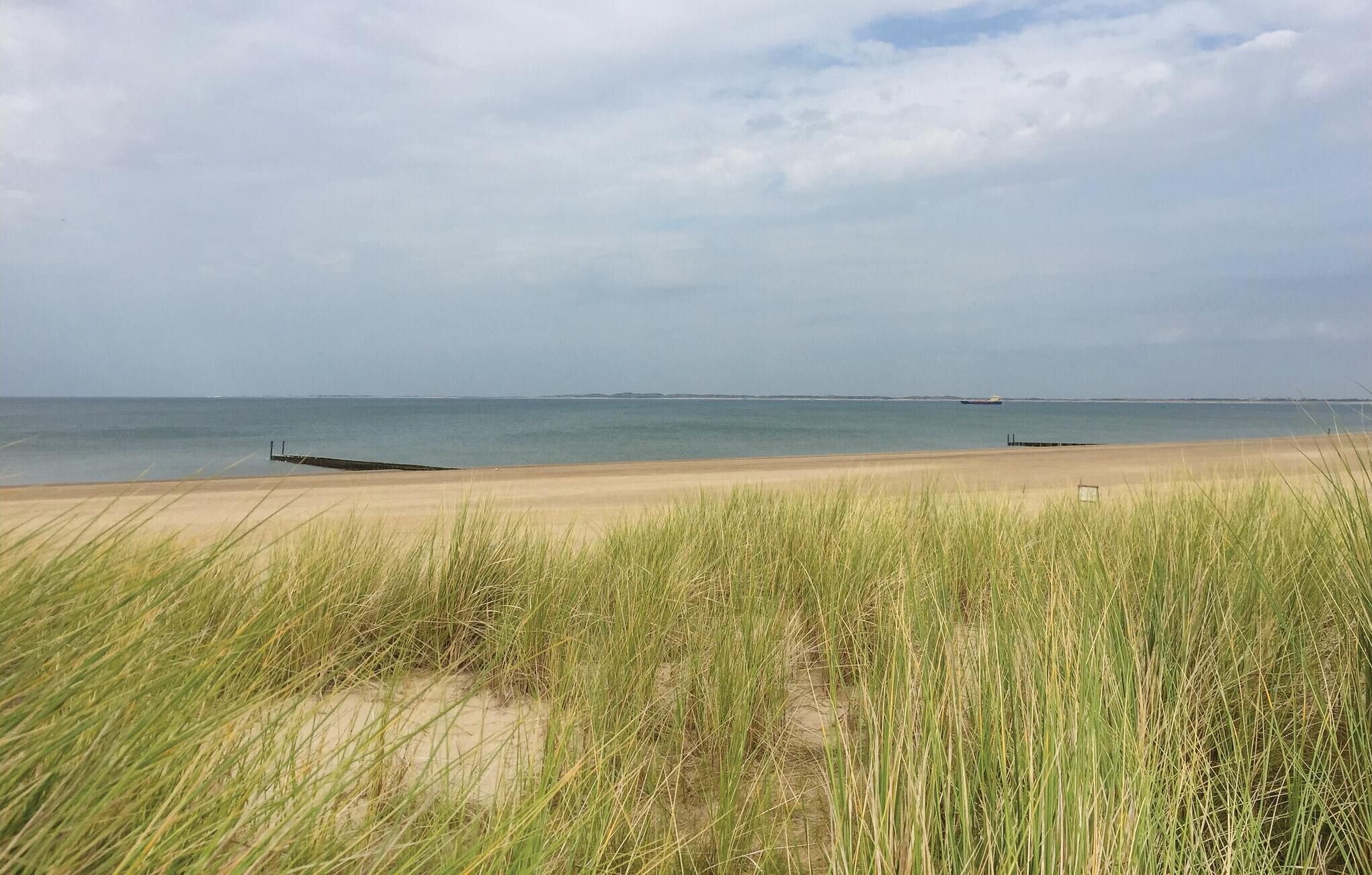 En strand med sand og højt græs i forgrunden, et roligt hav og et fjerntliggende skib.