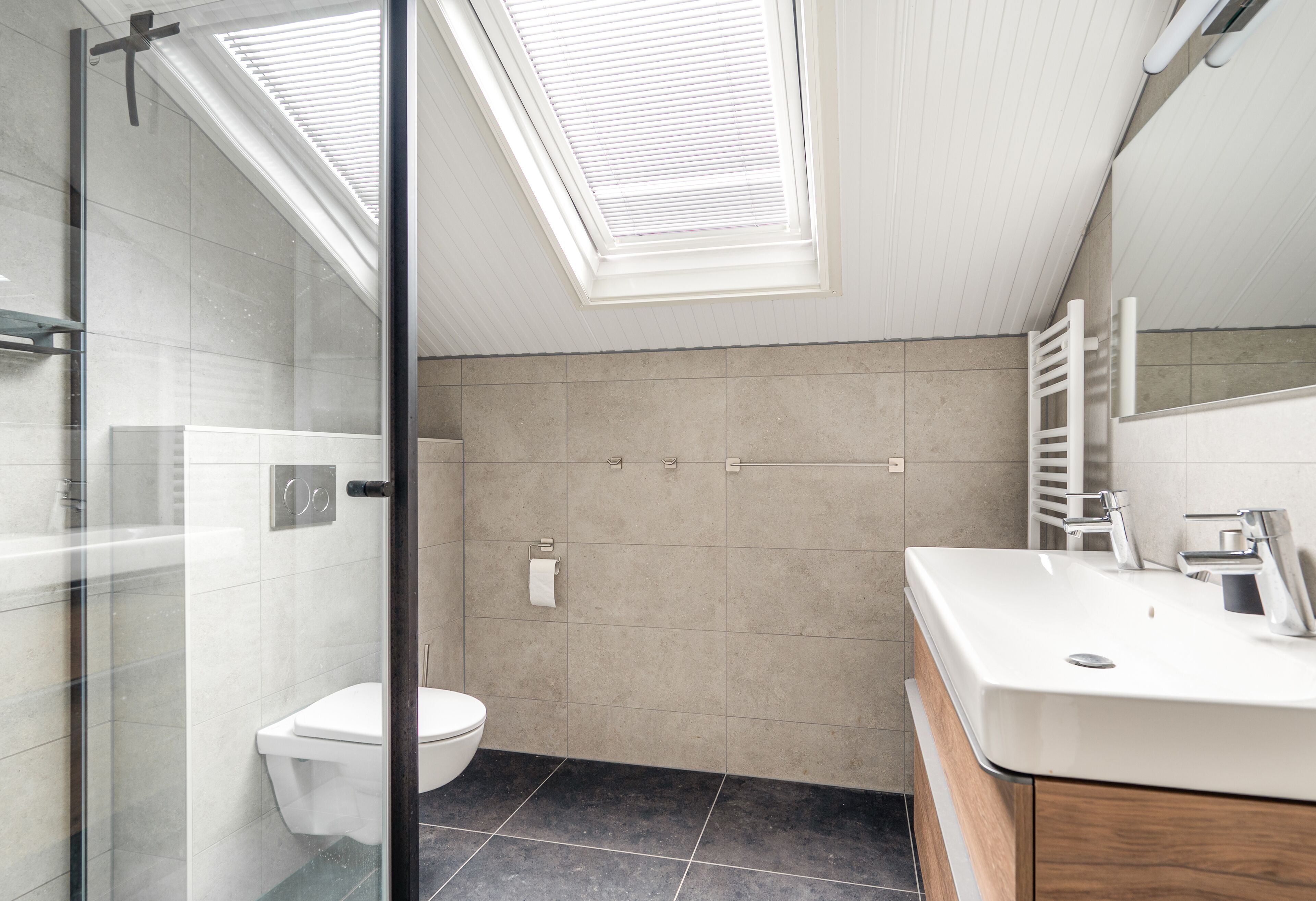 A modern bathroom with a skylight, a glass shower enclosure, a toilet, and a vanity with a mirror.