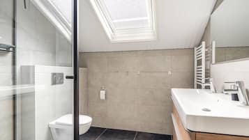 A modern bathroom with a skylight, a glass shower enclosure, a toilet, and a vanity with a mirror.