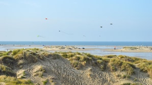 Ein Strand mit Dünen und einem klaren Himmel.