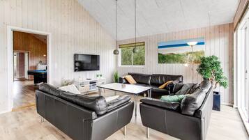 Tv, pejs, dvd-afspiller, bordfodbold