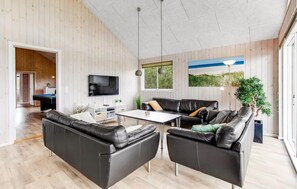 Tv, pejs, dvd-afspiller, bordfodbold