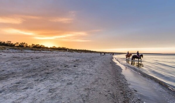 Tæt på stranden