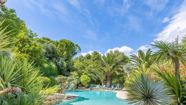 A pool surrounded by lush greenery and palm trees. - Pet friendly home in Roujan (Roujan)