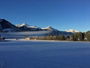 Unclassified image, 2 of 11, button