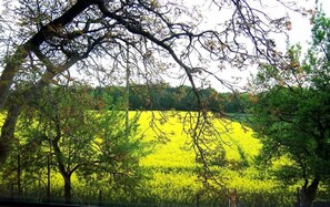 Unclassified image, 3 of 15, button