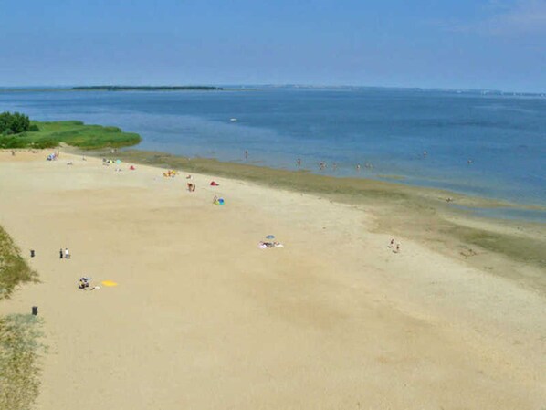 Nära stranden