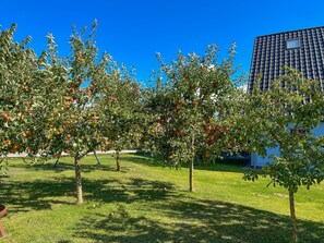 Imagen sin descripción, 5 de 27, botón