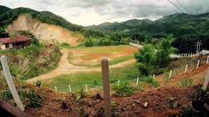 Landskab med en landevej, et indhegnet område med beplantning og et hus med rødt tag.