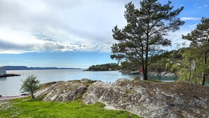 Un paysage côtier avec un premier plan herbeux, des affleurements rocheux et une vue dégagée sur l’eau.