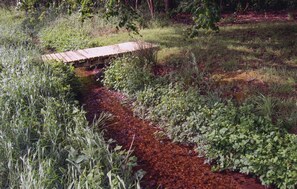 Property grounds - Awesome home in Spøttrup with WiFi (Spøttrup)