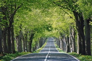 Imagem sem classificação, 5 de 27, botão