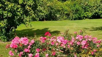 Ein Garten mit üppigem, grünen Rasen, rosa Rosen und verschiedenen Bäumen.