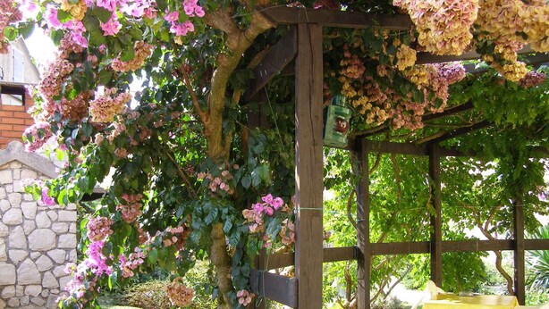 En trädgård med en pergola som är täckt av blommande klätterväxter, stenmurar och utomhusmöbler med gula bordsdukar.
