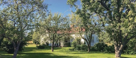 Extérieur