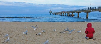 Villa Marin Lejlighed 21 - Usedom Zinnowitz Tourist Villa Marin Lejlighed 21