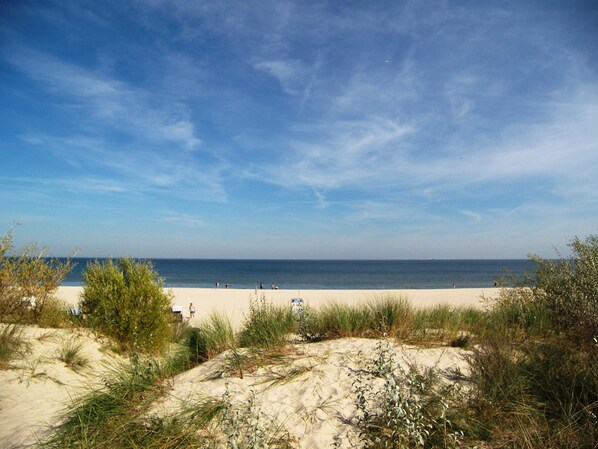 Playa en los alrededores 