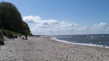 Ein sandiger Strand mit Menschen, einem klaren Himmel und einem bewaldeten Gebiet.