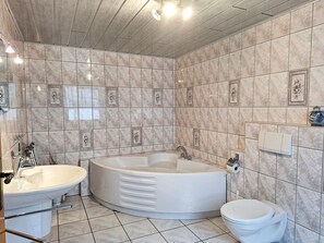 Shower, hair dryer