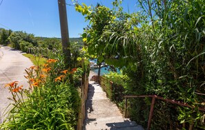 المنطقة المحيطة بالمنشأة