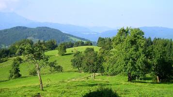 A rural landscape with rolling hills, trees, and a clear sky.
