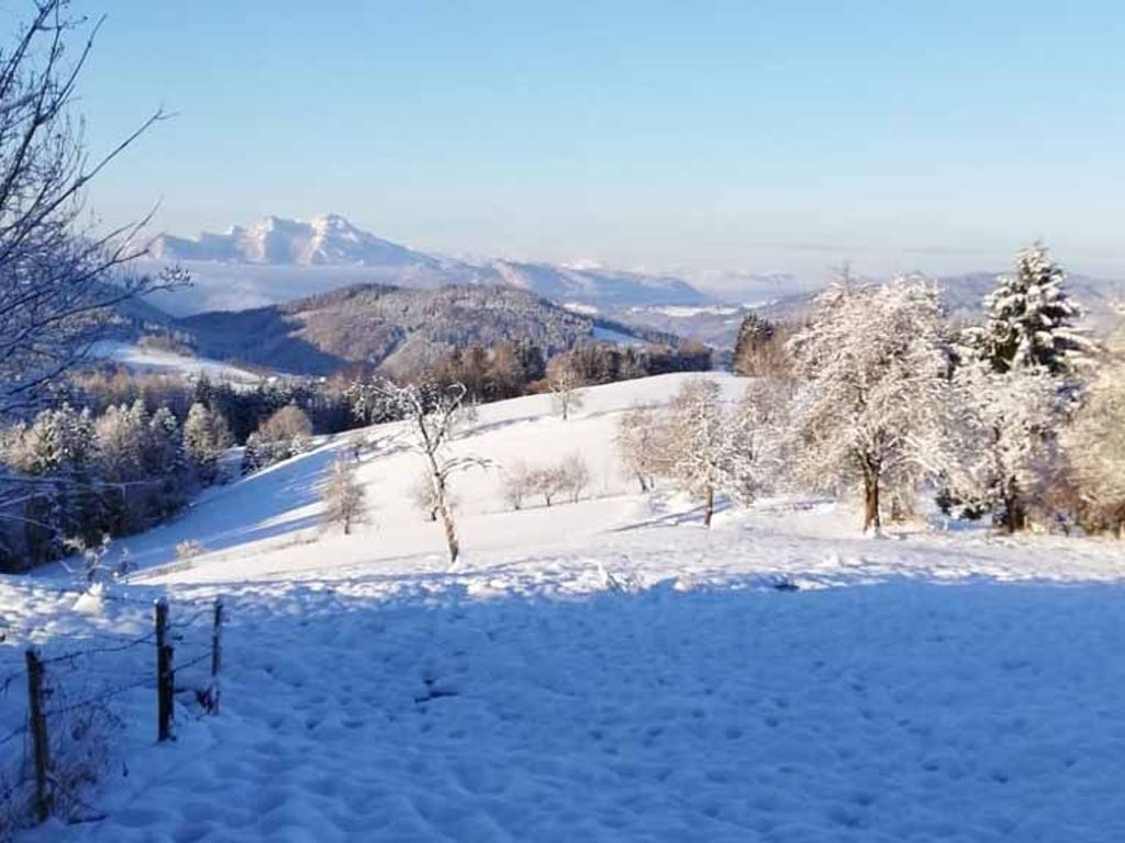 A snow-covered landscape with trees and distant mountains.