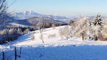 A snow-covered landscape with trees and distant mountains.