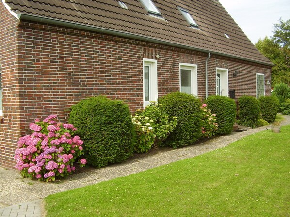 Unclassified image, 1 of 13, button