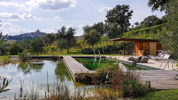 Ein ruhiger Poolbereich im Freien mit Holzdeck, Liegestühlen und einer kleinen überdachten Sitzgelegenheit.
