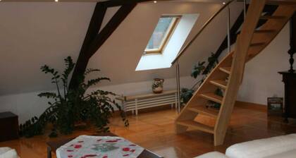 Ferienwohnung Im Alten Gut