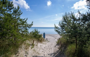 Un sentier de sable qui longe la plage et mène à l ’océan, bordé de pins, avec un panneau bleu visible.