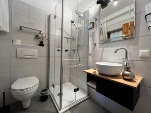 Shower, hair dryer, soap, toilet paper
