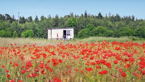Een klein wit vakantiehuisje met een open deur, gelegen in een veld met rode klaprozen.