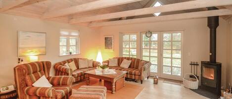 Televisor i llar de foc