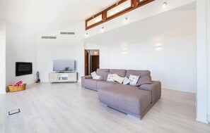 电视、DVD 播放器