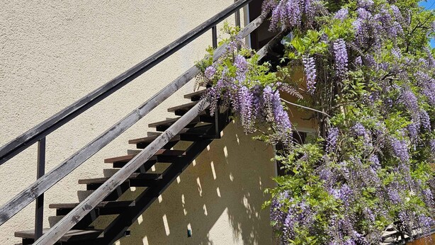 Una escalera de madera con barandilla de metal que lleva a un edificio de fachada color beige.