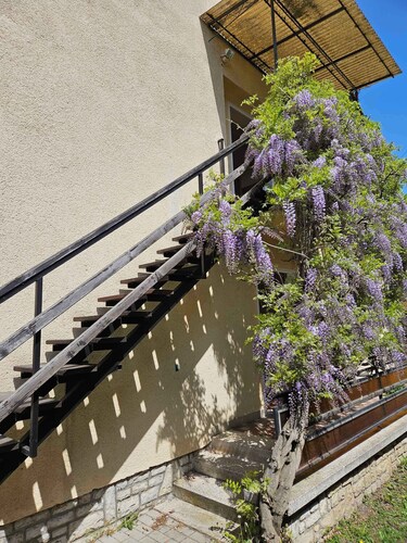 Ferienwohnung 300 m vom Balaton mit Klimaanlage