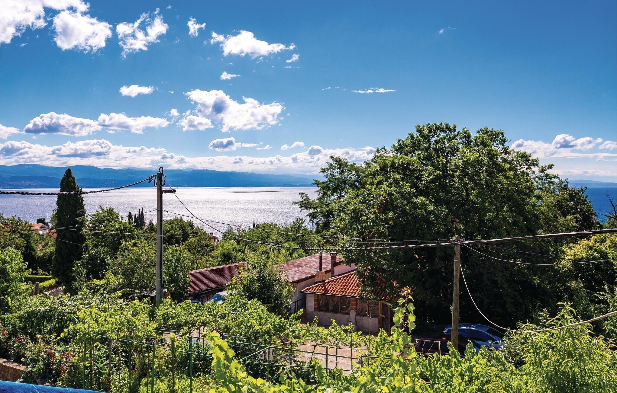 A vineyard with rows of grapevines, a house with a red roof, and a view of a lake and mountains in the background.